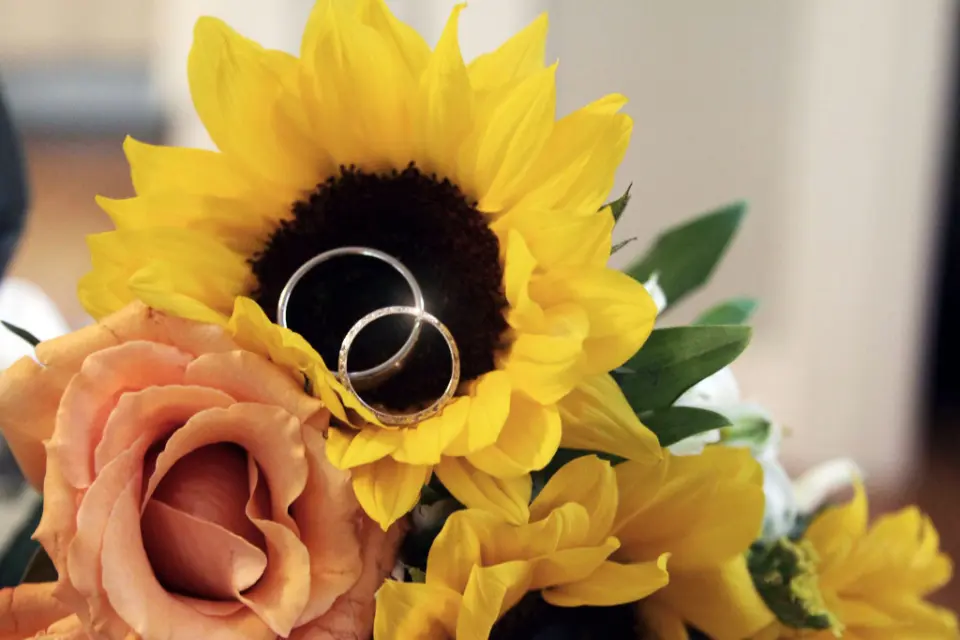 Saisonblumen Hochzeit: Sonnenblumen mit Eheringen